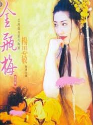 Phim Kim Bình Mai 4 - Jin Pin Mei 4 (1996)